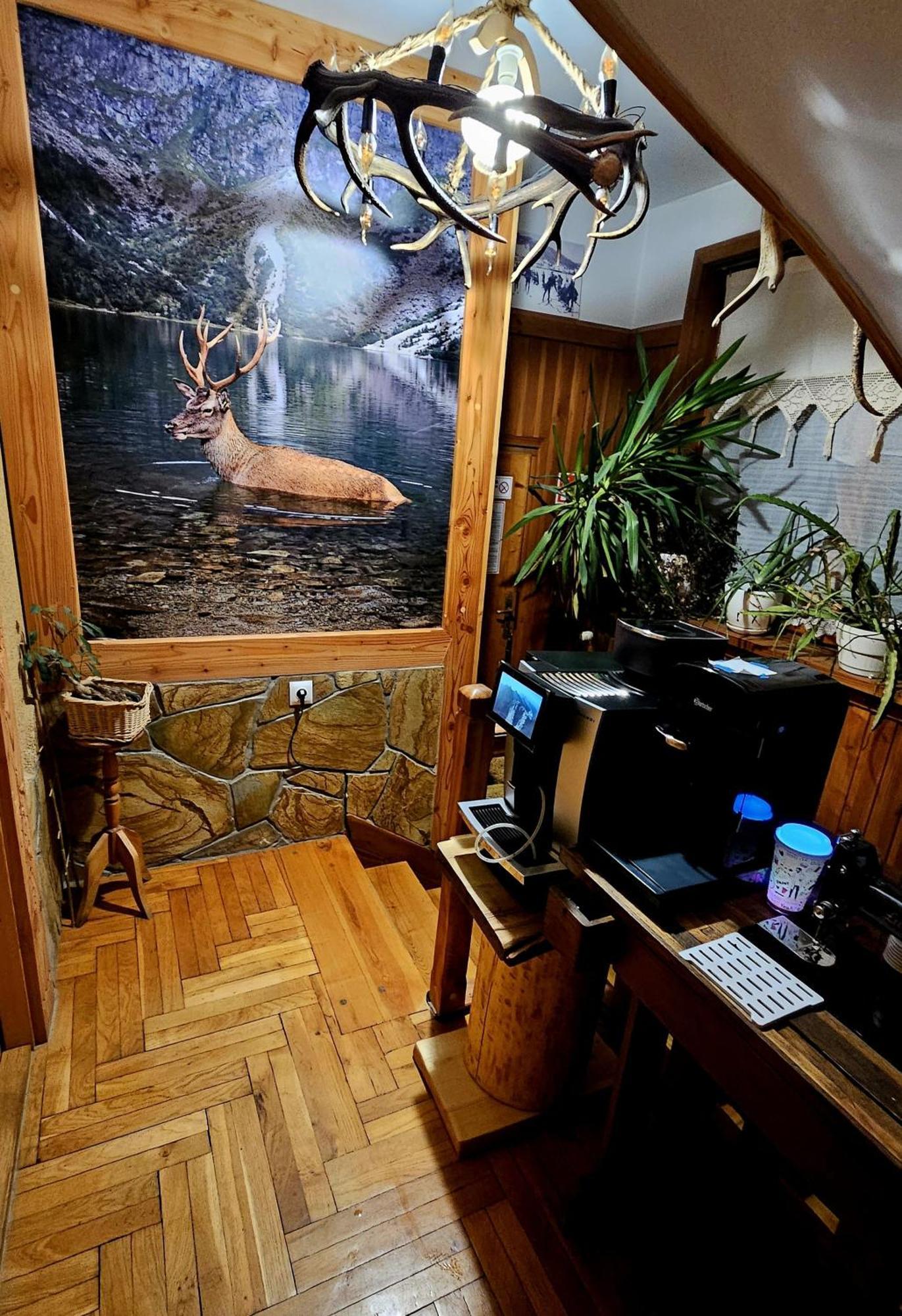 Apartament Rykowisko Zakopane Exteriör bild